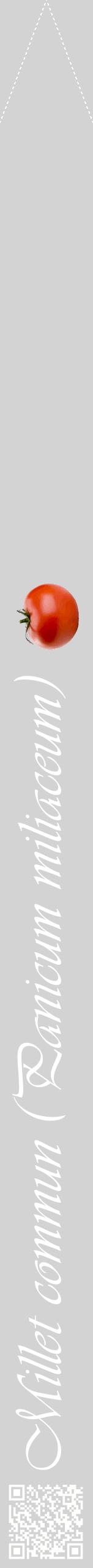 Étiquette de : Panicum miliaceum - format b - style blanche56viv avec qrcode et comestibilité simplifiée