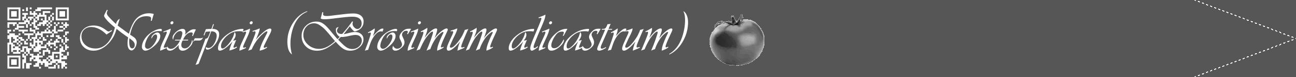 Étiquette de : Brosimum alicastrum - format b - style blanche45viv avec qrcode et comestibilité simplifiée