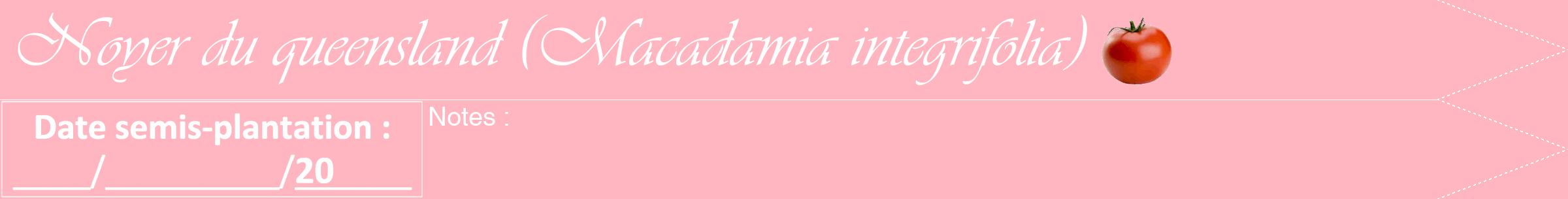 Étiquette de : Macadamia integrifolia - format b - style blanche41viv avec comestibilité simplifiée