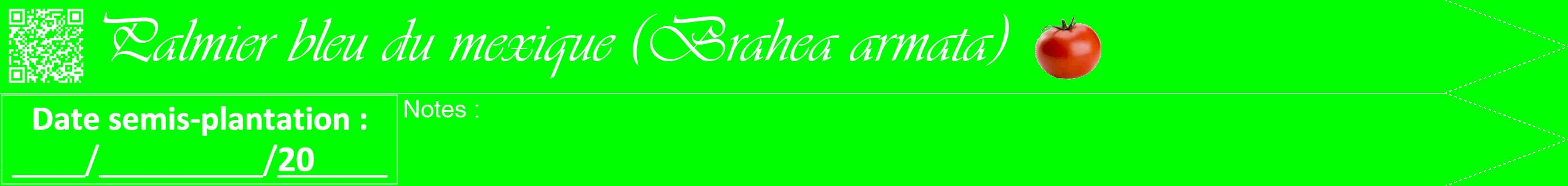 Étiquette de : Brahea armata - format b - style blanche16viv avec qrcode et comestibilité simplifiée
