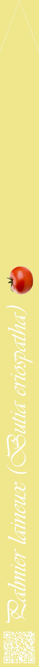 Étiquette de : Butia eriospatha - format b - style blanche20viv avec qrcode et comestibilité simplifiée