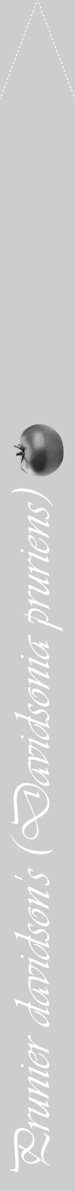 Étiquette de : Davidsonia pruriens - format b - style blanche41viv avec comestibilité simplifiée - position verticale