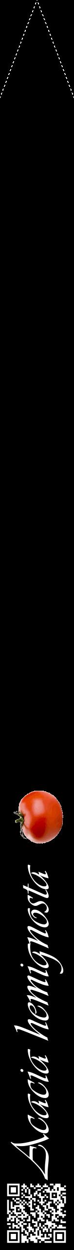 Étiquette de : Acacia hemignosta - format b - style blanche59viv avec qrcode et comestibilité simplifiée