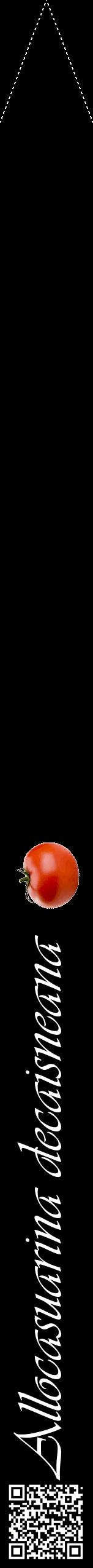 Étiquette de : Allocasuarina decaisneana - format b - style blanche59viv avec qrcode et comestibilité simplifiée