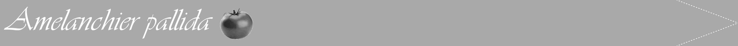Étiquette de : Amelanchier pallida - format b - style blanche13viv avec comestibilité simplifiée