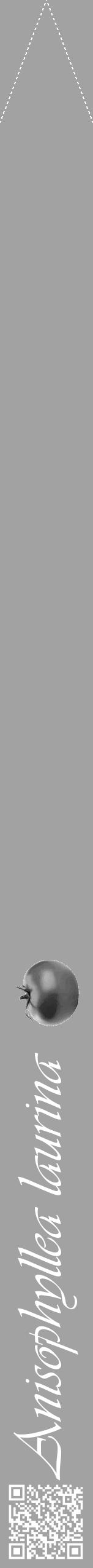 Étiquette de : Anisophyllea laurina - format b - style blanche38viv avec qrcode et comestibilité simplifiée - position verticale