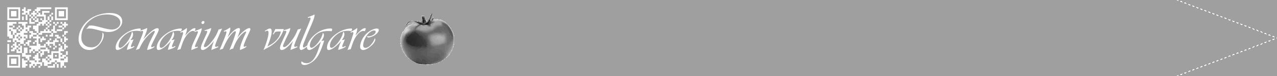 Étiquette de : Canarium vulgare - format b - style blanche24simpleviv avec qrcode et comestibilité simplifiée
