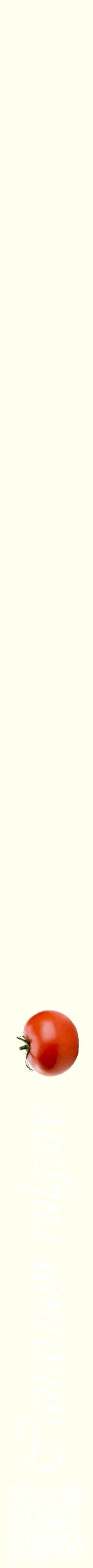 Étiquette de : Canarium vulgare - format b - style blanche19viv avec qrcode et comestibilité simplifiée