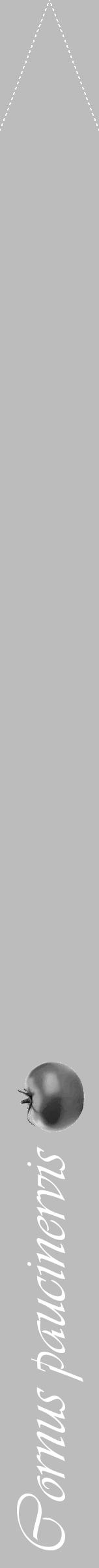 Étiquette de : Cornus paucinervis - format b - style blanche1viv avec comestibilité simplifiée - position verticale