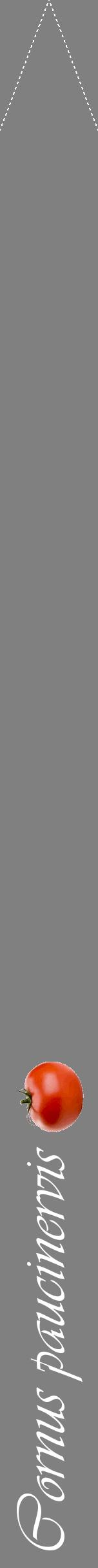 Étiquette de : Cornus paucinervis - format b - style blanche57viv avec comestibilité simplifiée