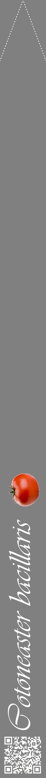Étiquette de : Cotoneaster bacillaris - format b - style blanche57viv avec qrcode et comestibilité simplifiée