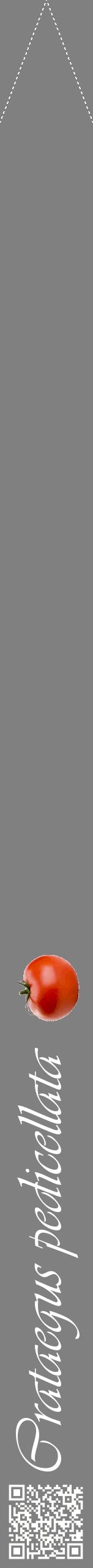 Étiquette de : Crataegus pedicellata - format b - style blanche57viv avec qrcode et comestibilité simplifiée