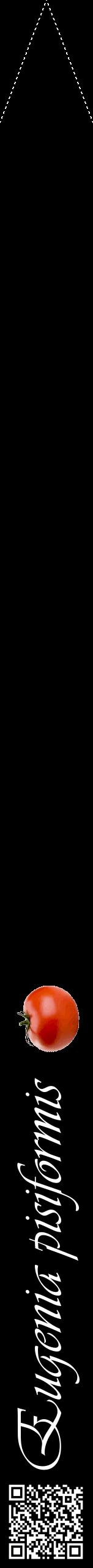 Étiquette de : Eugenia pisiformis - format b - style blanche59viv avec qrcode et comestibilité simplifiée