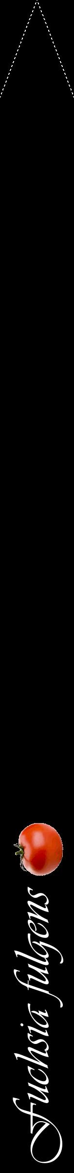 Étiquette de : Fuchsia fulgens - format b - style blanche59viv avec comestibilité simplifiée