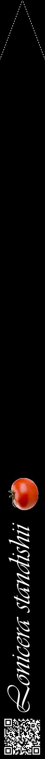Étiquette de : Lonicera standishii - format b - style blanche59viv avec qrcode et comestibilité simplifiée