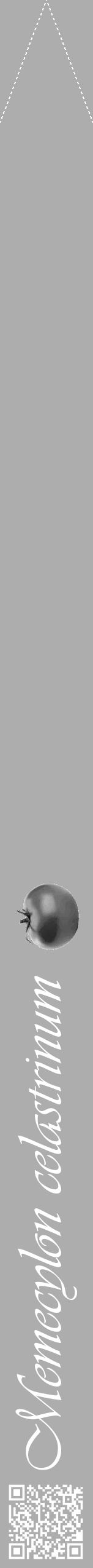 Étiquette de : Memecylon celastrinum - format b - style blanche22viv avec qrcode et comestibilité simplifiée - position verticale