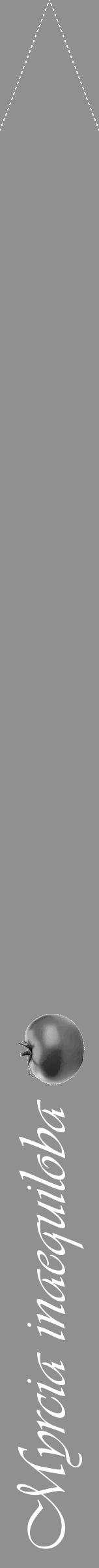 Étiquette de : Myrcia inaequiloba - format b - style blanche4viv avec comestibilité simplifiée - position verticale