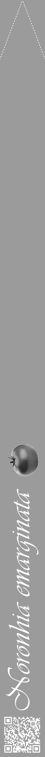 Étiquette de : Noronhia emarginata - format b - style blanche52viv avec qrcode et comestibilité simplifiée - position verticale