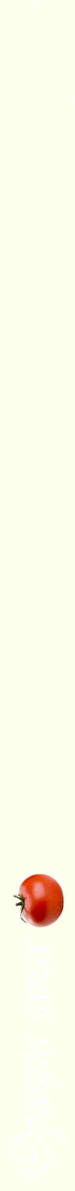 Étiquette de : Opuntia sarca - format b - style blanche19viv avec comestibilité simplifiée
