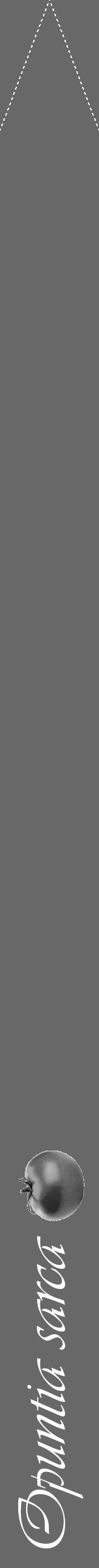 Étiquette de : Opuntia sarca - format b - style blanche6viv avec comestibilité simplifiée - position verticale