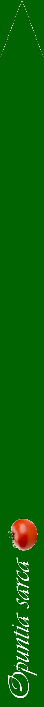 Étiquette de : Opuntia sarca - format b - style blanche8viv avec comestibilité simplifiée