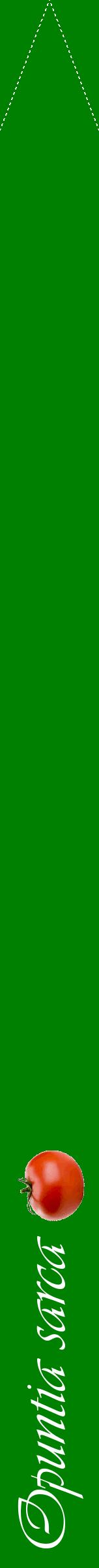 Étiquette de : Opuntia sarca - format b - style blanche9viv avec comestibilité simplifiée