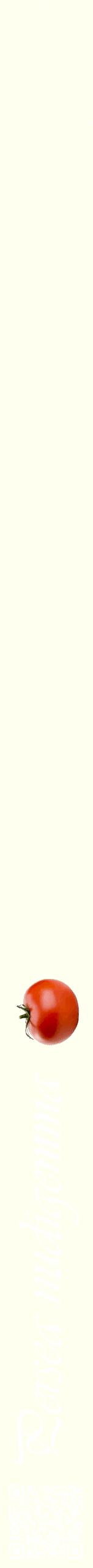 Étiquette de : Persea nudigemma - format b - style blanche19viv avec qrcode et comestibilité simplifiée