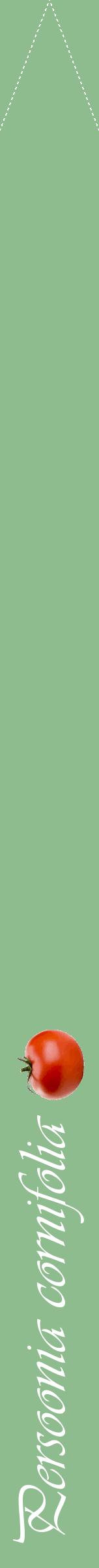 Étiquette de : Persoonia cornifolia - format b - style blanche13viv avec comestibilité simplifiée