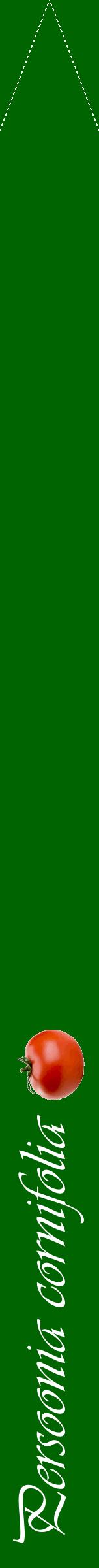 Étiquette de : Persoonia cornifolia - format b - style blanche8viv avec comestibilité simplifiée