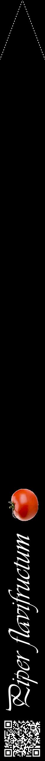 Étiquette de : Piper flavifructum - format b - style blanche59viv avec qrcode et comestibilité simplifiée