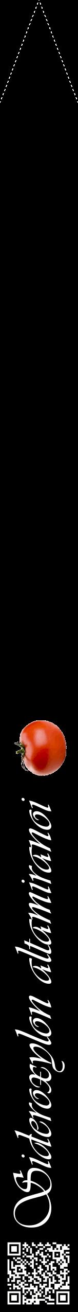 Étiquette de : Sideroxylon altamiranoi - format b - style blanche59viv avec qrcode et comestibilité simplifiée