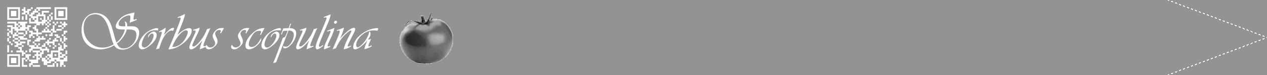 Étiquette de : Sorbus scopulina - format b - style blanche44viv avec qrcode et comestibilité simplifiée