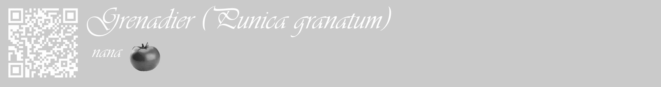 Étiquette de : Punica granatum nana - format c - style blanche21basique_basique_basiqueviv avec qrcode et comestibilité simplifiée