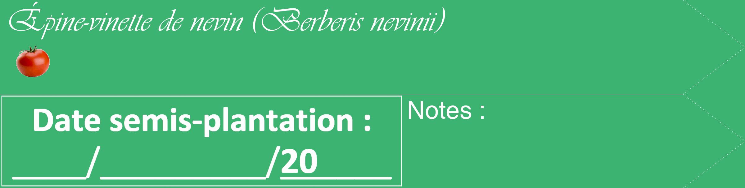 Étiquette de : Berberis nevinii - format c - style blanche12_simple_simpleviv avec comestibilité simplifiée