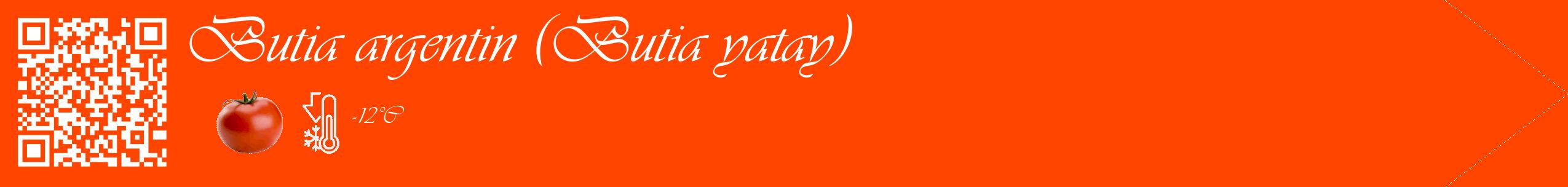 Étiquette de : Butia yatay - format c - style blanche26_simple_simpleviv avec qrcode et comestibilité simplifiée