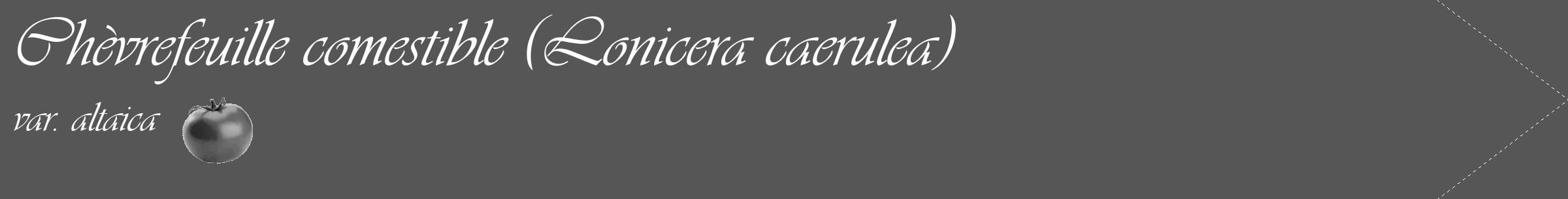 Étiquette de : Lonicera caerulea var. altaica - format c - style blanche45_simple_simpleviv avec comestibilité simplifiée