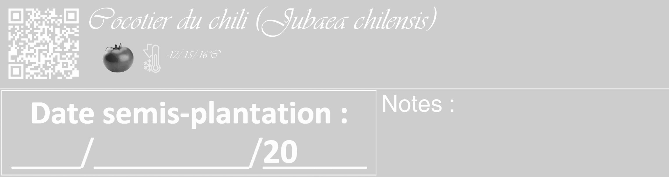 Étiquette de : Jubaea chilensis - format c - style blanche41_basique_basiqueviv avec qrcode et comestibilité simplifiée