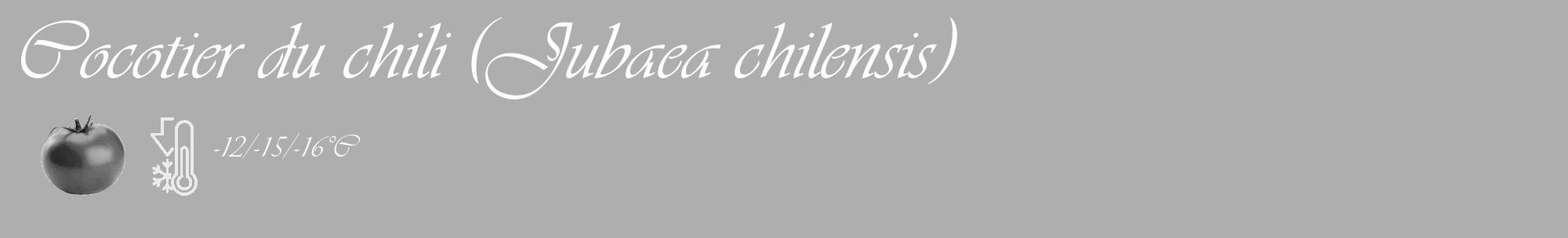 Étiquette de : Jubaea chilensis - format c - style blanche53_basique_basiqueviv avec comestibilité simplifiée