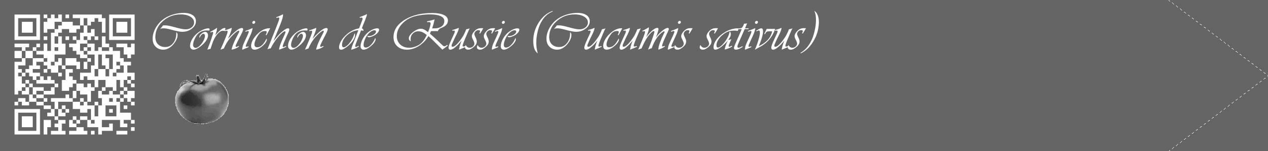 Étiquette de : Cucumis sativus - format c - style blanche32_simple_simpleviv avec qrcode et comestibilité simplifiée