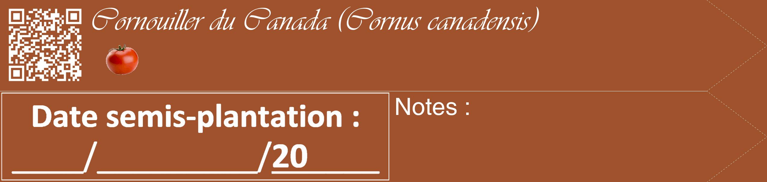 Étiquette de : Cornus canadensis - format c - style blanche32_simple_simpleviv avec qrcode et comestibilité simplifiée