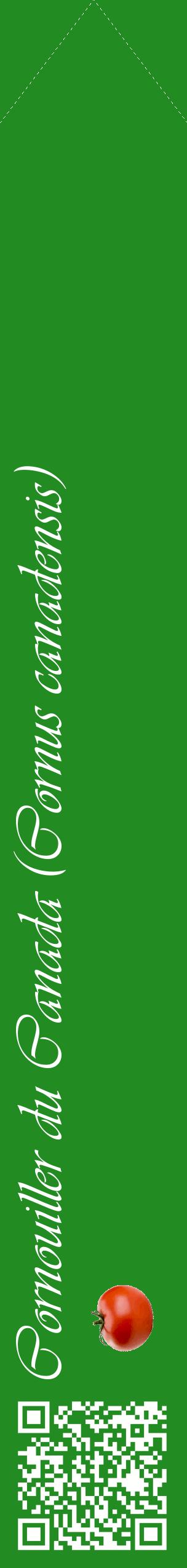 Étiquette de : Cornus canadensis - format c - style blanche10_simpleviv avec qrcode et comestibilité simplifiée