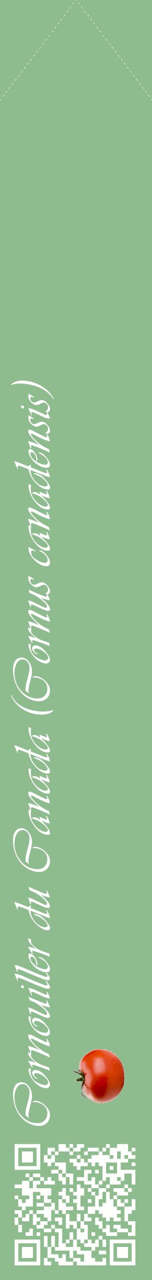 Étiquette de : Cornus canadensis - format c - style blanche13_simpleviv avec qrcode et comestibilité simplifiée