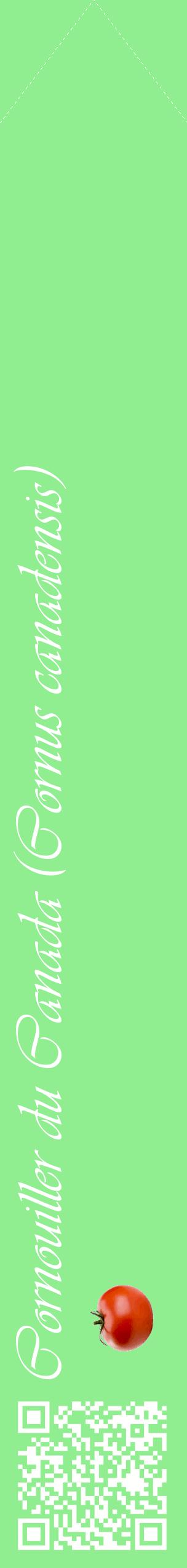 Étiquette de : Cornus canadensis - format c - style blanche15_simpleviv avec qrcode et comestibilité simplifiée