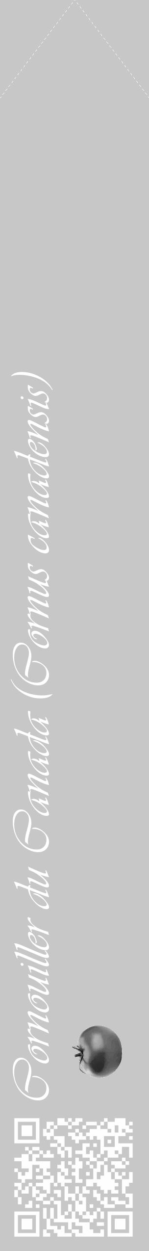 Étiquette de : Cornus canadensis - format c - style blanche15_simple_simpleviv avec qrcode et comestibilité simplifiée - position verticale