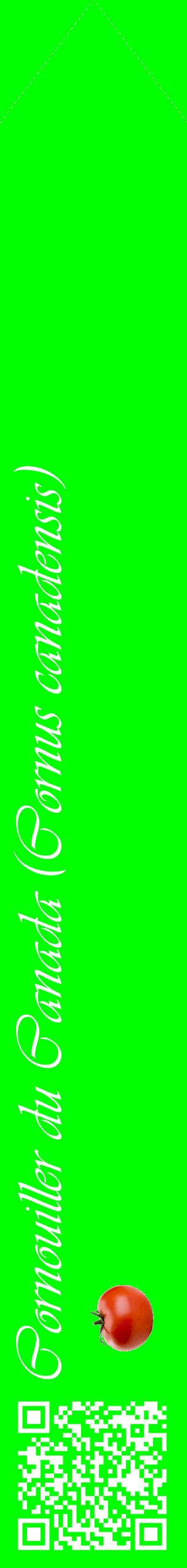 Étiquette de : Cornus canadensis - format c - style blanche16_simpleviv avec qrcode et comestibilité simplifiée