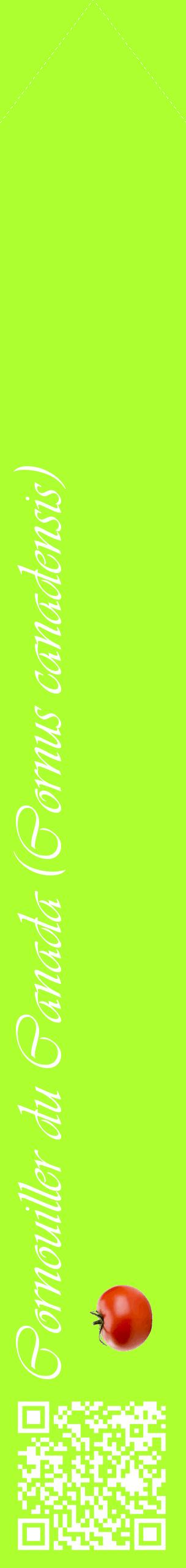 Étiquette de : Cornus canadensis - format c - style blanche17_simpleviv avec qrcode et comestibilité simplifiée