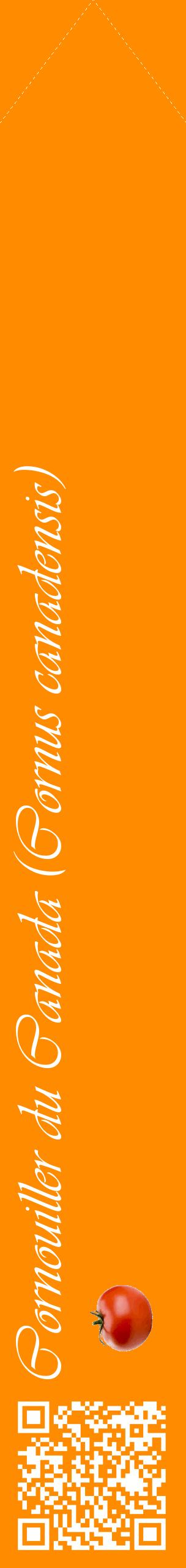 Étiquette de : Cornus canadensis - format c - style blanche23_simpleviv avec qrcode et comestibilité simplifiée