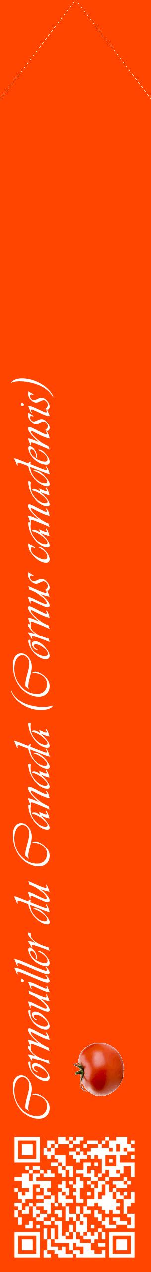 Étiquette de : Cornus canadensis - format c - style blanche26_simpleviv avec qrcode et comestibilité simplifiée