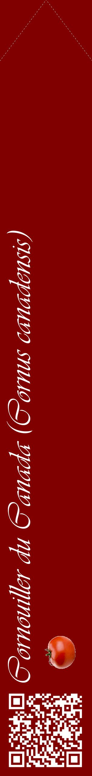 Étiquette de : Cornus canadensis - format c - style blanche29_simpleviv avec qrcode et comestibilité simplifiée