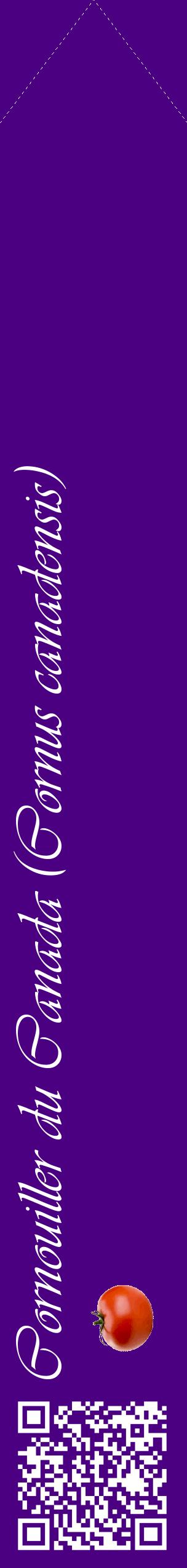 Étiquette de : Cornus canadensis - format c - style blanche47_simpleviv avec qrcode et comestibilité simplifiée
